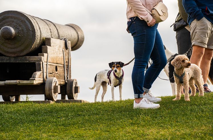 Kalmar Slott_utomhusguidning_hund