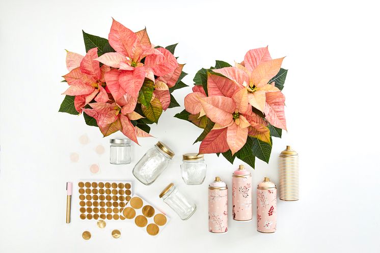 2022_poinsettia_04110_DIY_Advent_Calendar_with_Painted_Jars_01