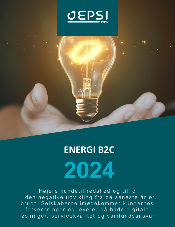2024-11-18 EPSI Energi Privat 2024 - Minirapport og pressemateriale.pdf