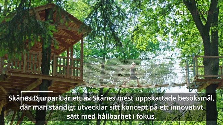 Skånes Djurpark nominerat till Årets Upplevelse.mov