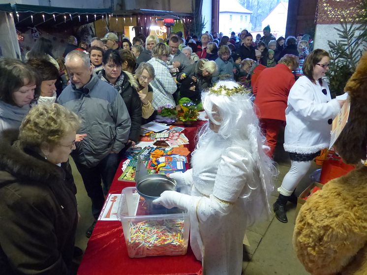 Weihnachten im Stall auf dem Klostergut Mößlitz: Bärenherz erhält beeindruckende Spende