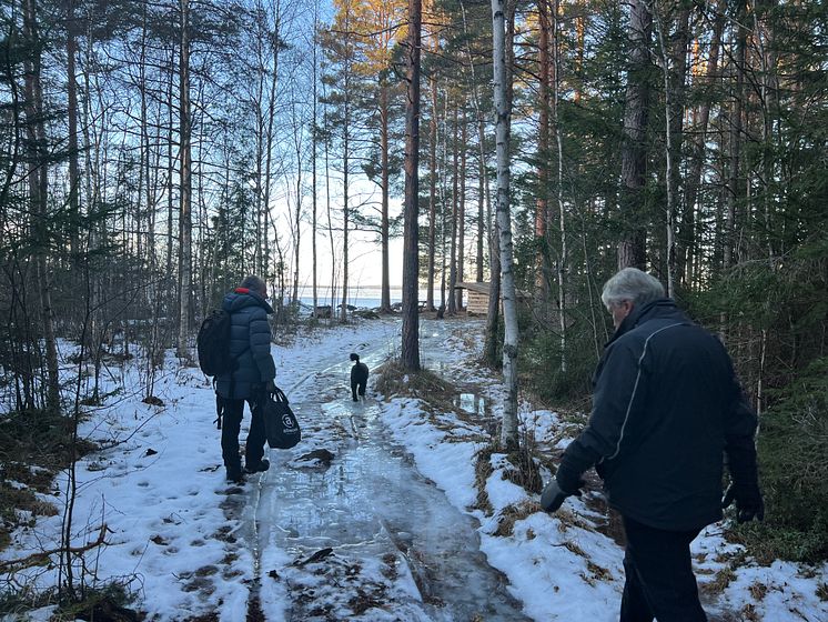 Promenad ner till Pojkviken.JPG