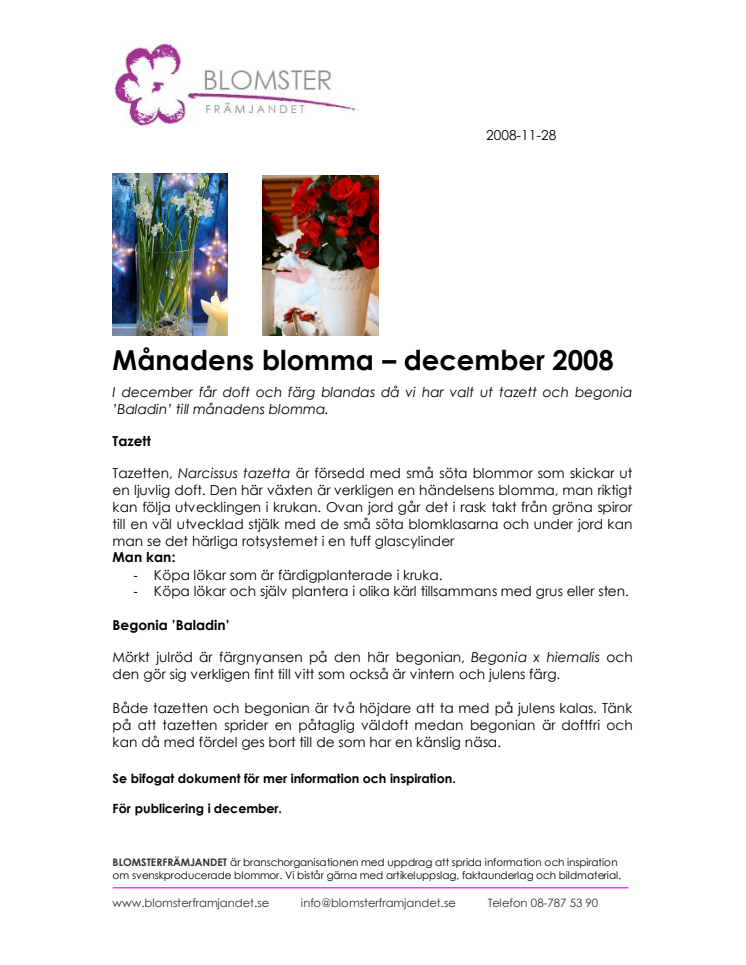 Månadens blomma – december 2008