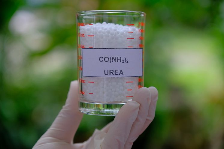 iStock-1285096061_Urea.jpg