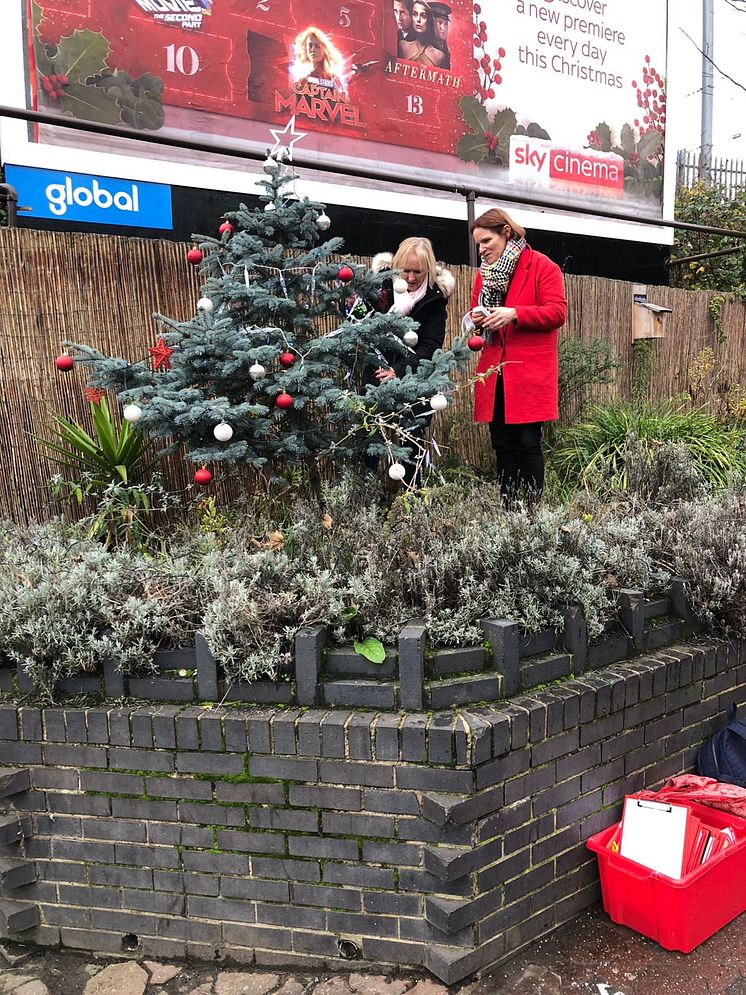 Living Christmas trees at Cricklewood
