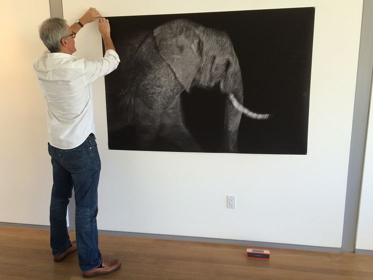 Frank af Petersens hänger utställningen The Poaching Wars