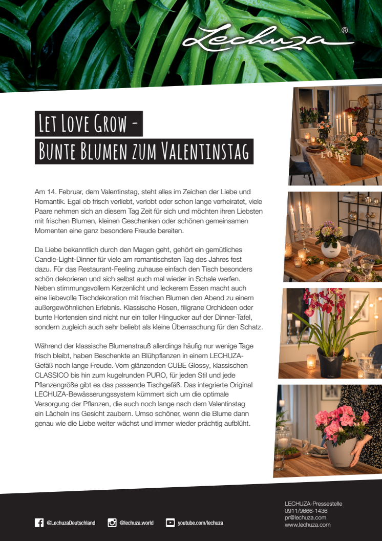 Let Love Grow - Bunte Blumen zum Valentinstag