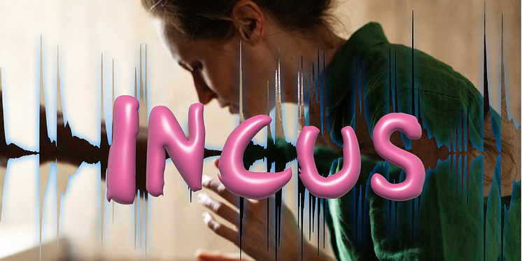 bilder hemsida 2014x1024-incus.png