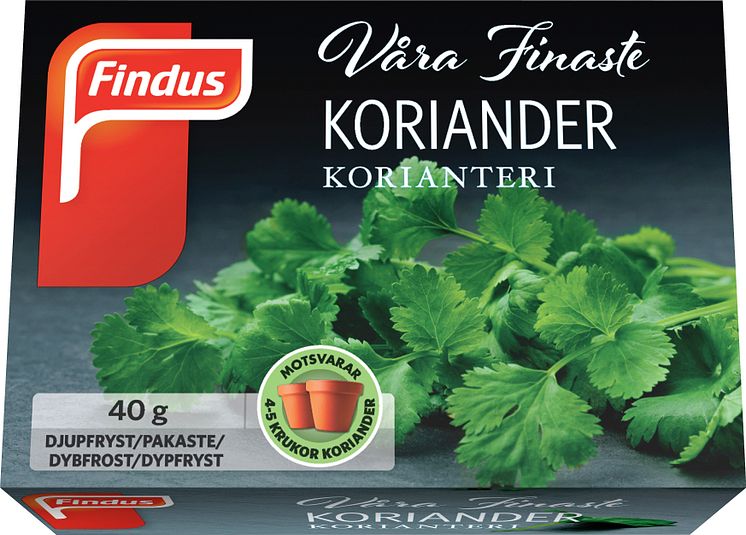 Koriander