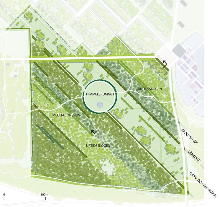 Millennieskogen - illustrationsplan