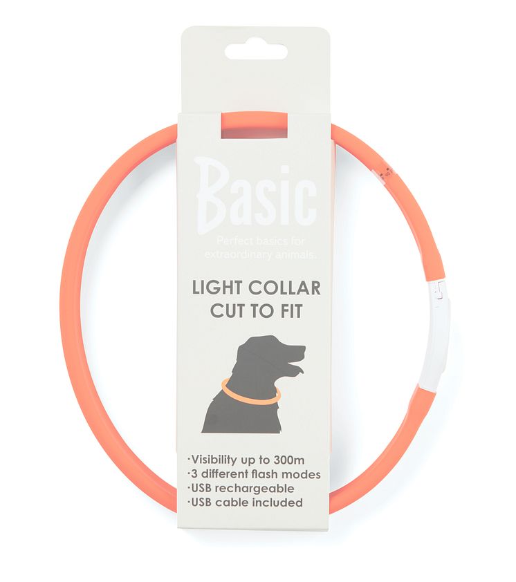 Basic Wide light collar orange dog.jpg