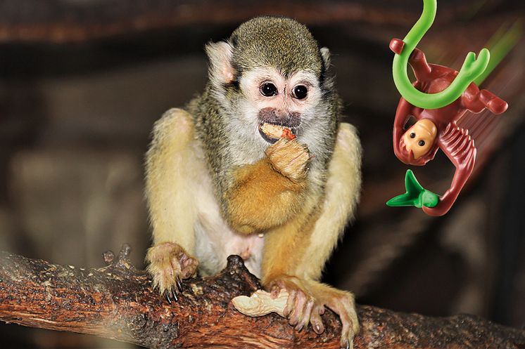 Tierischer Spaß im Tierpark Germendorf