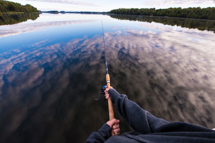 Fiske i Östergötland