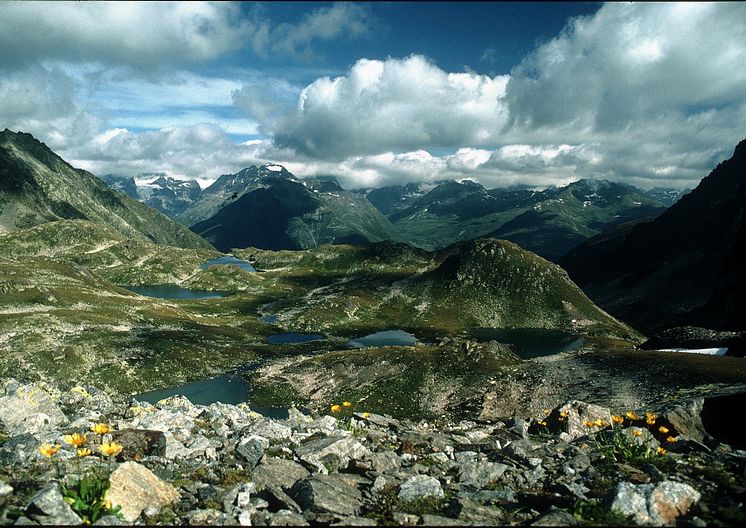 Die Macun-Seenplatte im Schweizerischen Nationalpark 