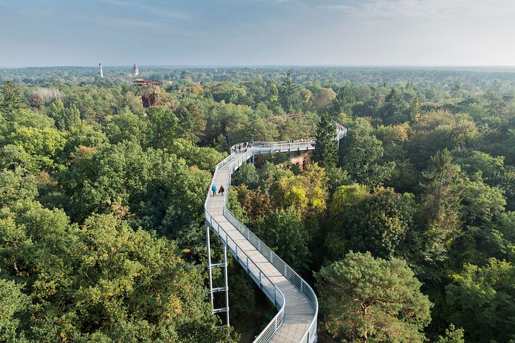 Baumkronenpfad "Baum und Zeit" in Beelitz-Heilstätten