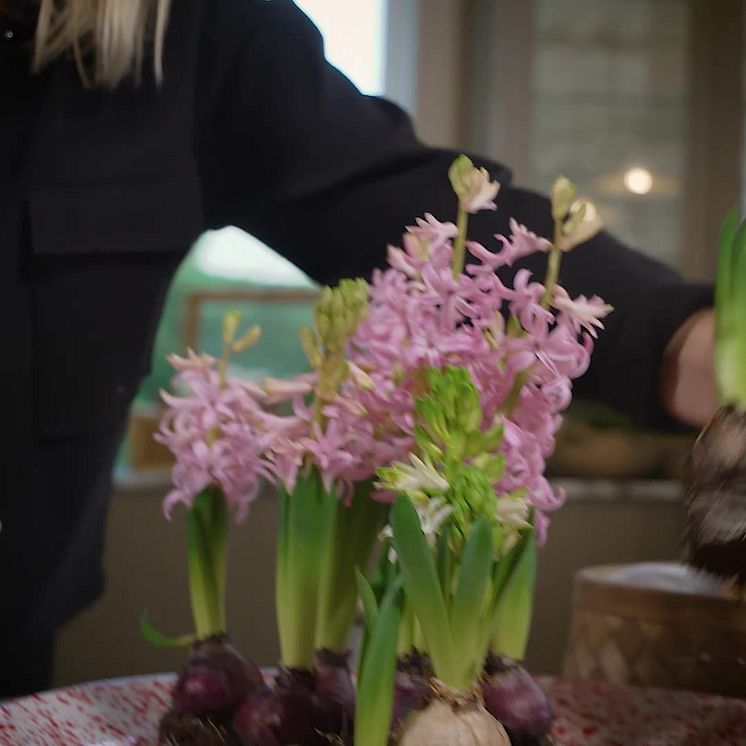 Blomsterarrangemang att göra själv