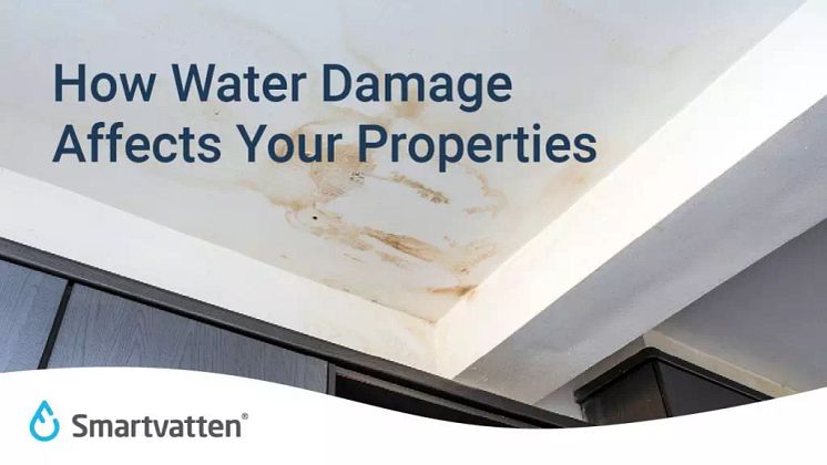 water-damage-1024x576.webp