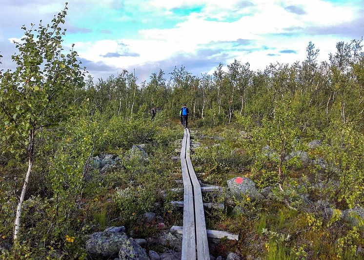 Spång mot Njunjes