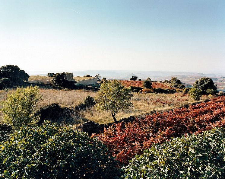 Bodega-Lanzaga_Rioja.jpg