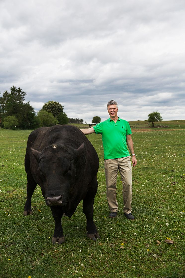 Magnus Selin, direktör FoodSolutions