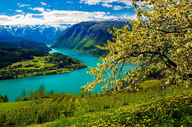 Spring in Ulvik in Hardanger-Photo - Robin-Strand-Norphoto-AS.jpg