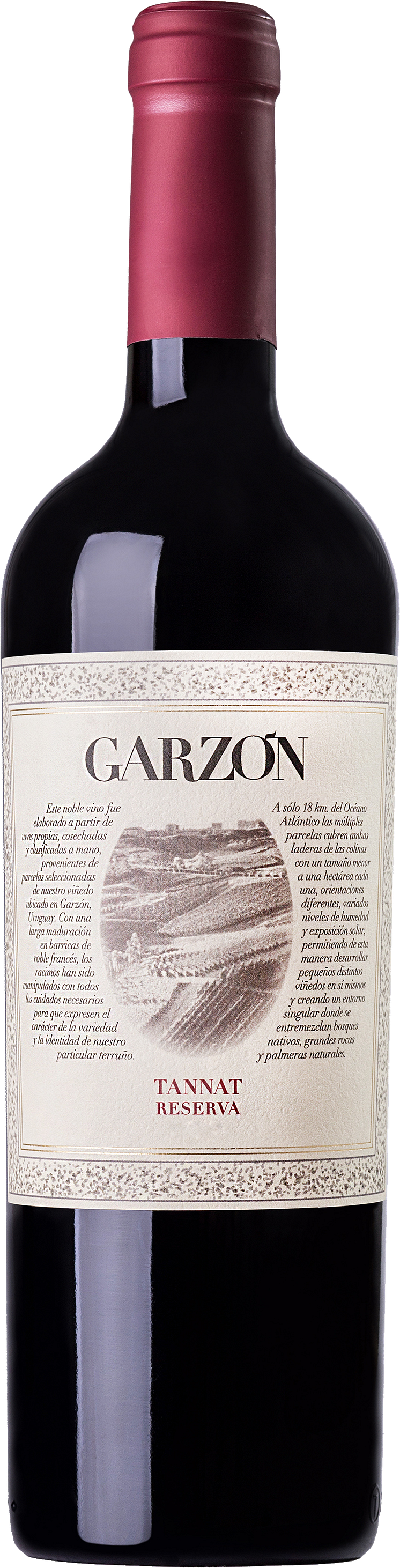 Garzon Tannat Reserva.png