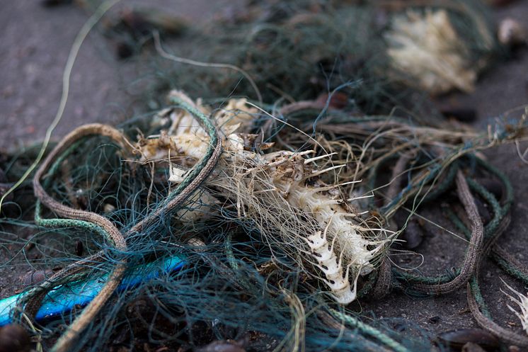 Satsning ska få bort förlorade fiskeredskap ur havet