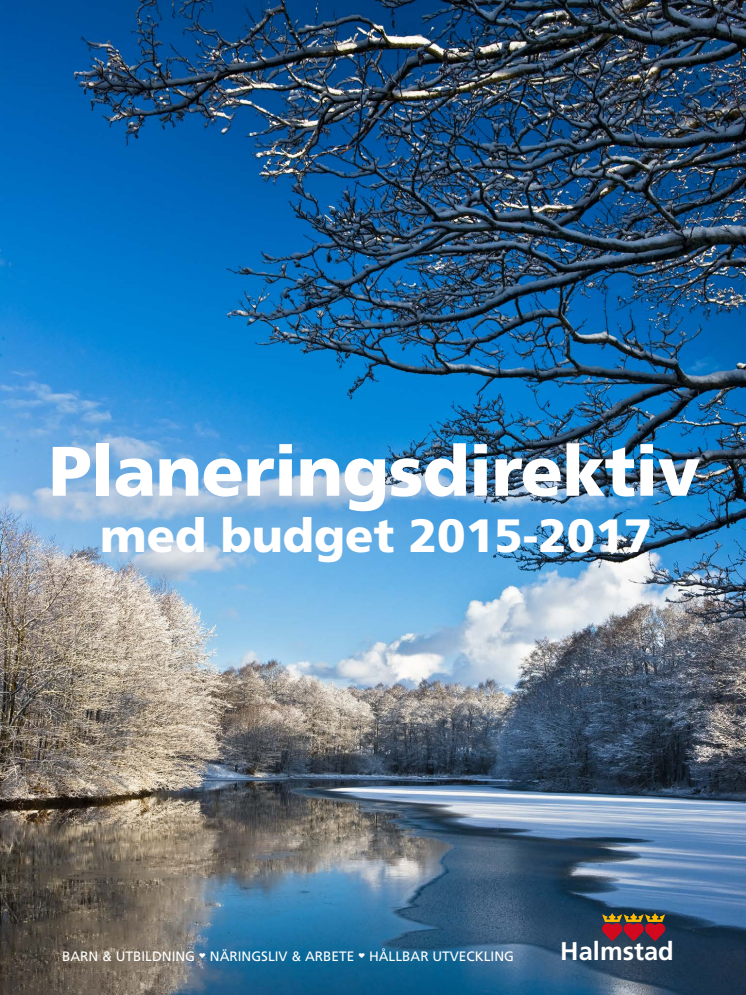 Planeringsdirektiv med budget 2015-2017
