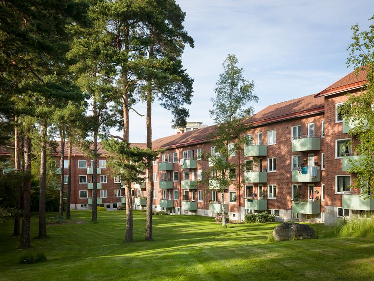 Högsbo
