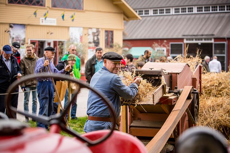 Skördefest Tjolöholms Slott