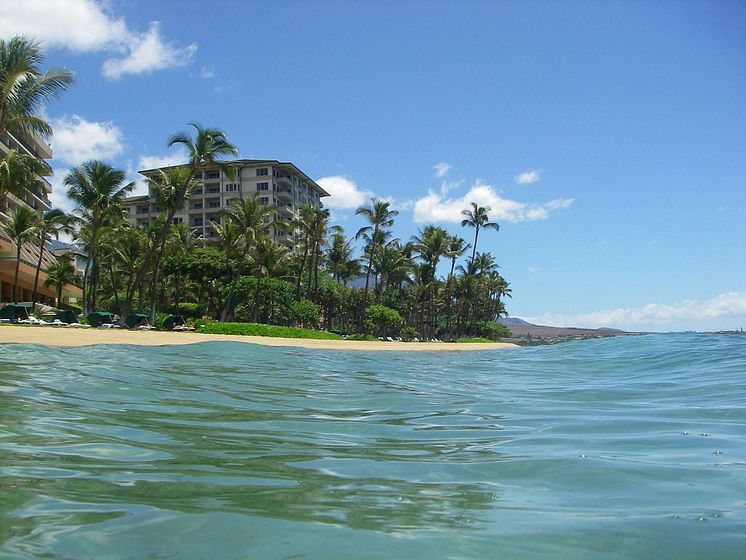 Marriott Maui Ocean Club.jpg