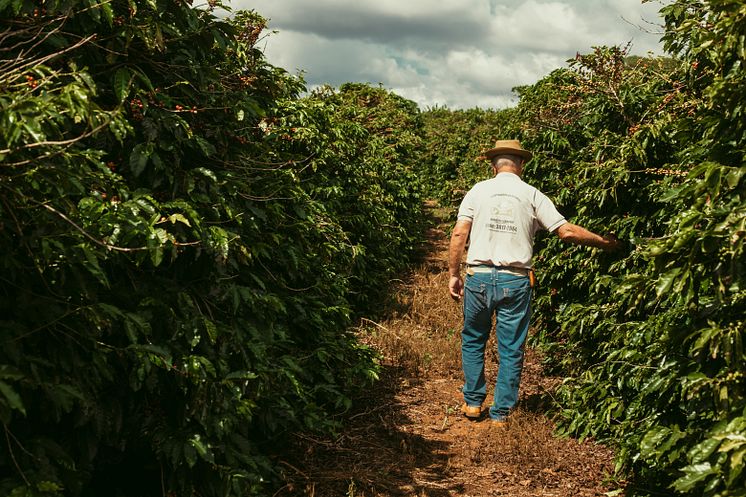 Kaffefarmer på sin mark