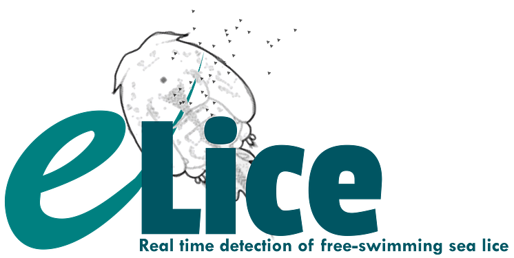 e-Lice logo