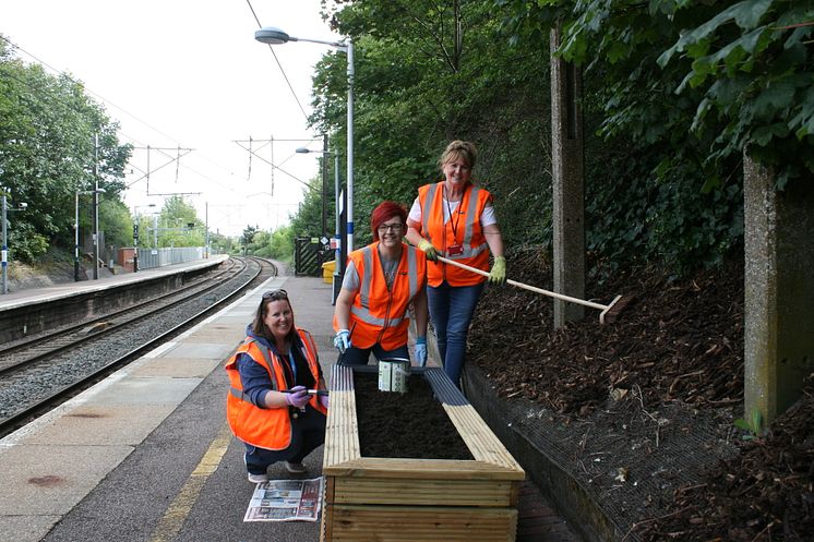 Royston station gardening