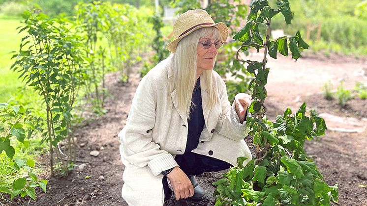 Ulla Skoog, gästkreatör på Jonsereds Trädgårdar 2022.