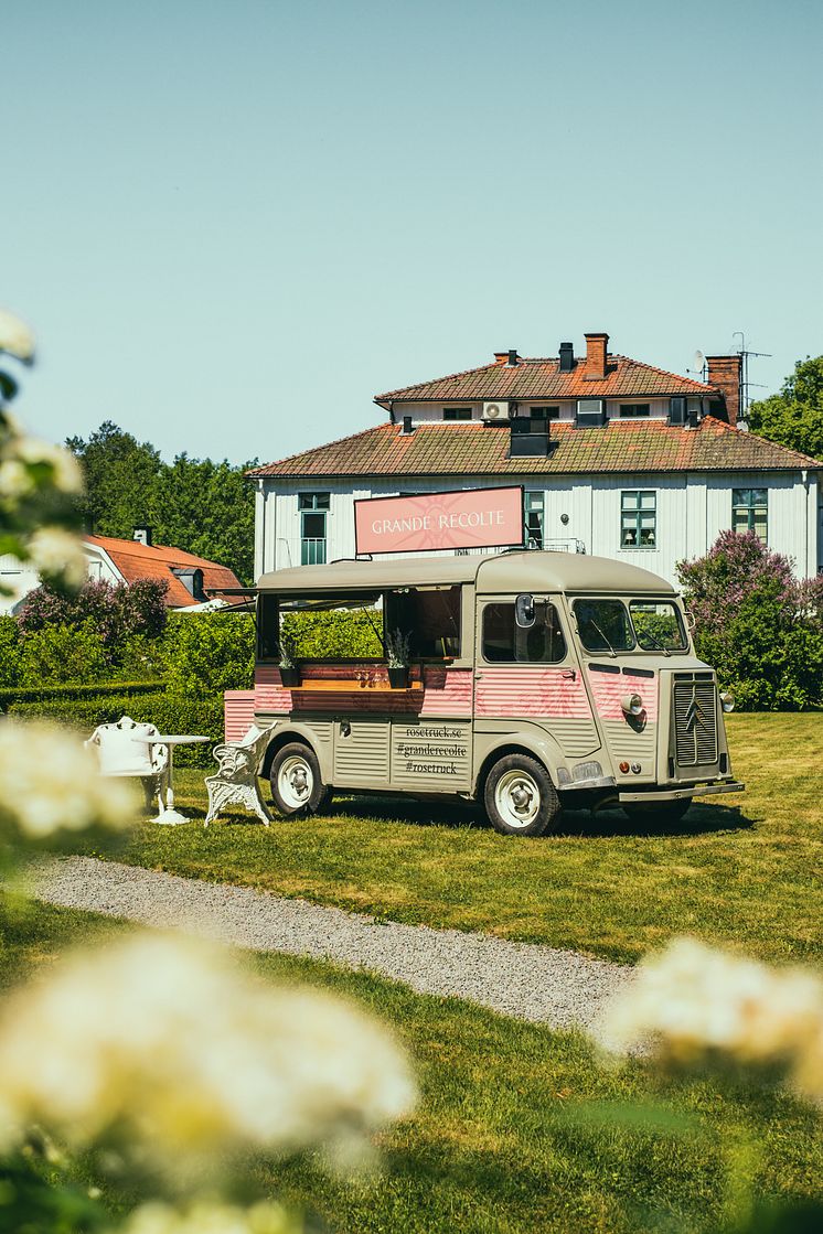 Rosétruck stående bild