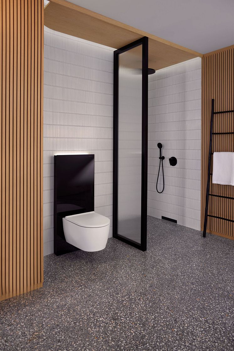 2023_Monolith Plus with ComfortLight, wall-hung WC ONE white matt and shower_Big Size (1).jpg