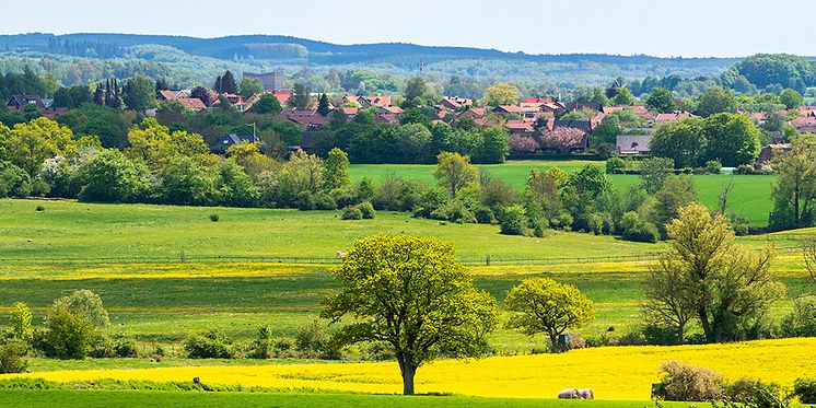 Natur_skåne 1000x500