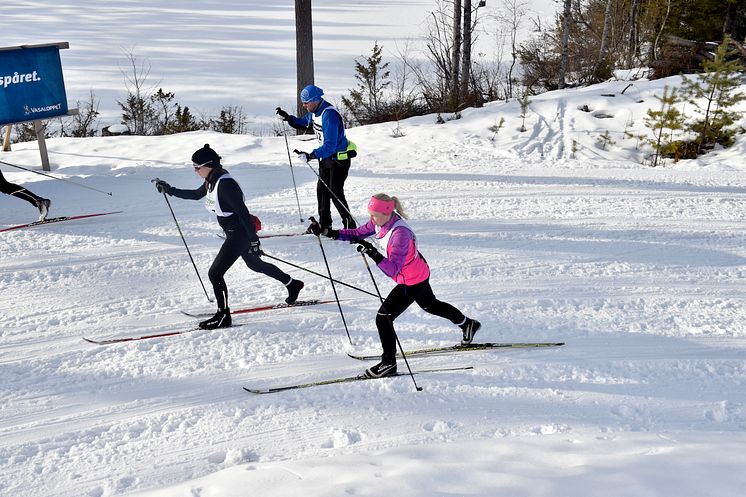 Öppet Spår söndag, 2016-02-28 (3)