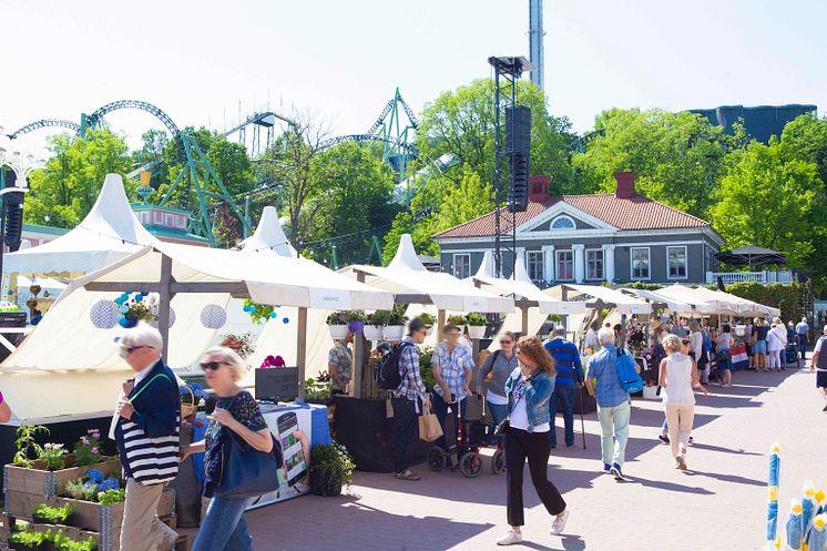 Ett 80-tal utställare att botanisera bland kommer att finnas på marknaden