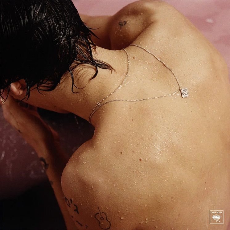 Harry Styles - albumomslag