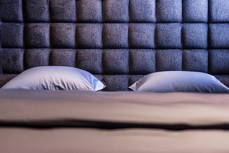 bed.se - 2024 - Shazam - NOV-19.jpg