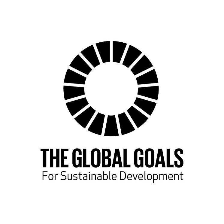 2_TheGlobalGoals_Logo_MainLogo_inBlack