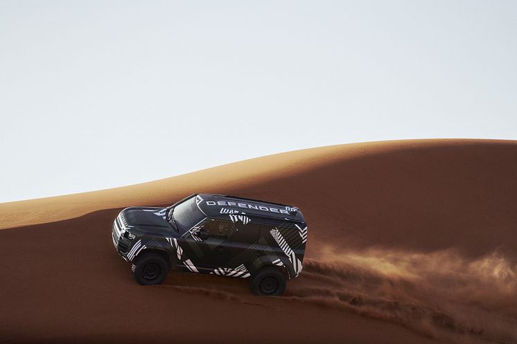 DEFENDER_RALLY_DYNAMIC_02.jpg