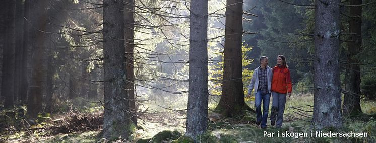 Par i skogen, © TourismusMarketing Niedersachsen GmbH / Peter Hamel