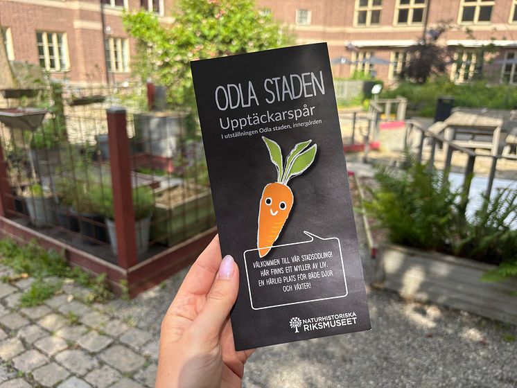 Upptädckarspår i museets stadsolding