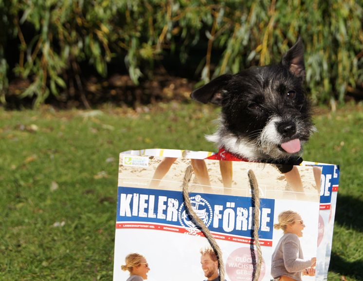 Urlaub mit Hund