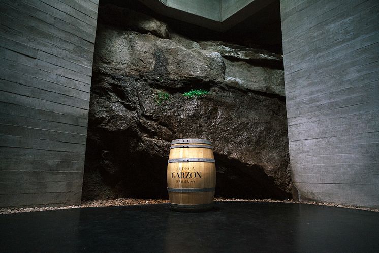 BodegaGarzón_Interior