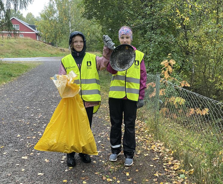 Falu konståkningsklubb beskuren