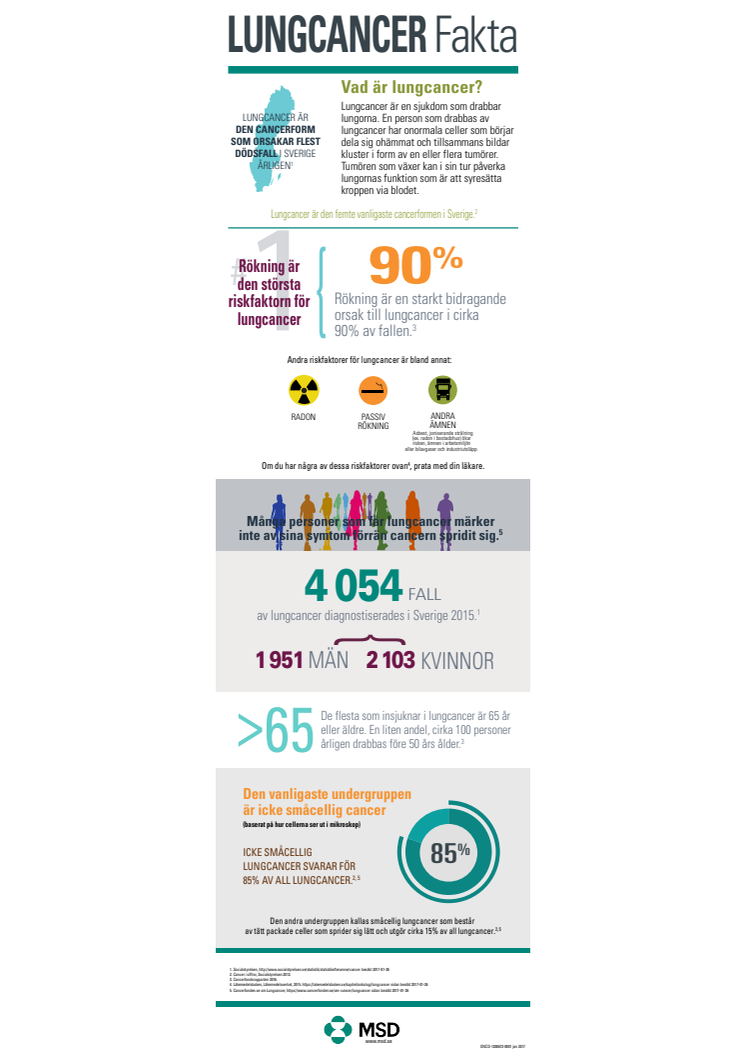 Nyhetsgrafik med fakta om lungcancer